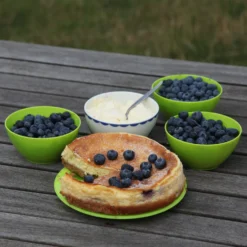 Blueberry 'Bluecrop' -Sapling Vibe Sales Store pl0000001890 card8 lg scaled