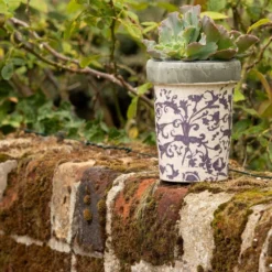 Aged Ceramic Long Tom Pot -Sapling Vibe Sales Store pr2000008818 card3 lg