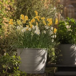 Ribbed Zinc Planter -Sapling Vibe Sales Store pr2000028781 card3 lg