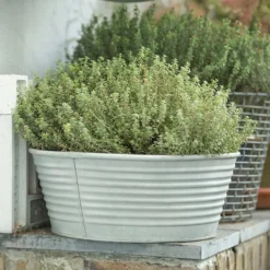Ribbed Zinc Planter -Sapling Vibe Sales Store pr2000028781 card8 lg