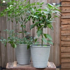 Ribbed Zinc Planter -Sapling Vibe Sales Store pr2000028781 card9 lg