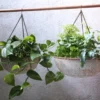 Abari Round Hanging Planter