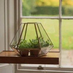 Terrarium With Brass Base Tray 9 Terrarium With Brass Base Tray -Sapling Vibe Sales Store pr2000034059 card3 lg