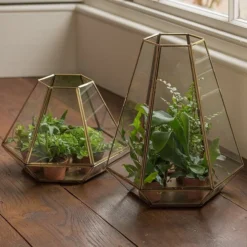 Terrarium With Brass Base Tray 12 Terrarium With Brass Base Tray -Sapling Vibe Sales Store pr2000034059 card6 lg