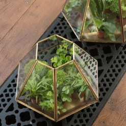 Terrarium With Brass Base Tray 13 Terrarium With Brass Base Tray -Sapling Vibe Sales Store pr2000034059 card7 lg