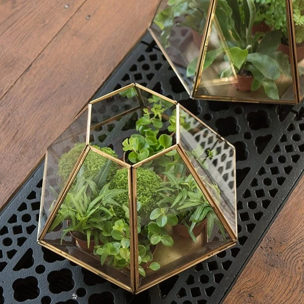Terrarium With Brass Base Tray 7 Terrarium With Brass Base Tray - Image 7