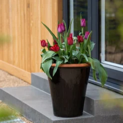 Glazed Terracotta Pot - Black -Sapling Vibe Sales Store pr2000034127 card11 lg