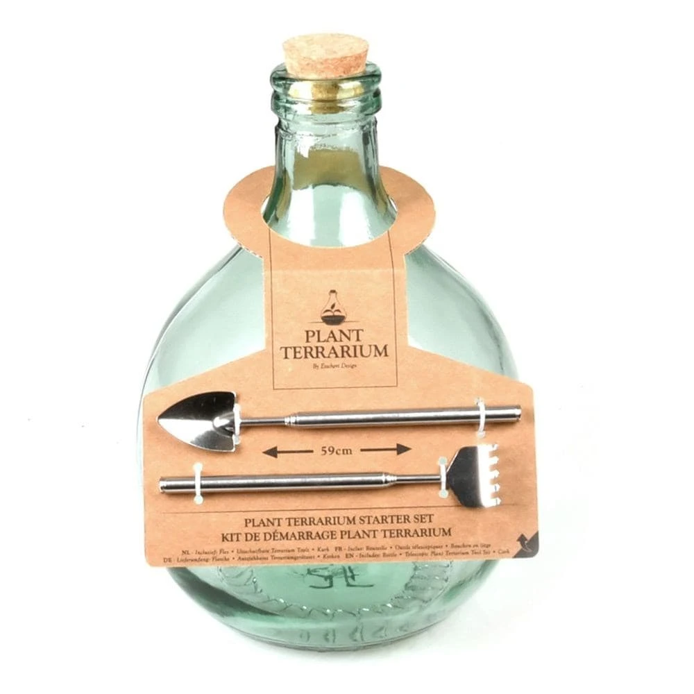 Plant Terrarium Bottle 5 Litre Set 2 Plant Terrarium Bottle 5 Litre Set - Image 2