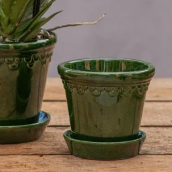 Scalloped Tapered Plant Pot With Saucer - Dark Green -Sapling Vibe Sales Store pr2000035578 card3 lg