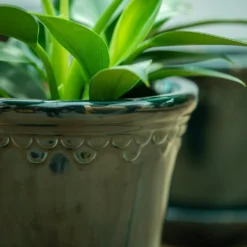 Scalloped Tapered Plant Pot With Saucer - Dark Blue -Sapling Vibe Sales Store pr2000035580 card4 lg