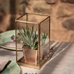 Simple Terrarium / Tealight Holder With Tray Base 11 Simple Terrarium / Tealight Holder With Tray Base -Sapling Vibe Sales Store pr2000037497 card4 lg