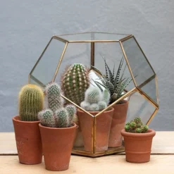 Pentagon Terrarium With Tray Base 9 Pentagon Terrarium With Tray Base -Sapling Vibe Sales Store pr2000037499 card5 lg