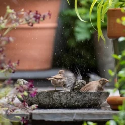 Turned Green Marble Bird Bowl -Sapling Vibe Sales Store pr2000037502 card7 lg