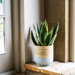 Bamboo Grey Planter