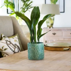 Stoneware Meadow Planter Olive