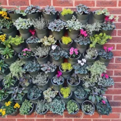 Living Wall Vertical Planting Set - 2.3m2