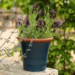 Dark Teal Kitchen Planter -Sapling Vibe Sales Store pr2000044992 card6 lg