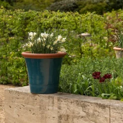 Dark Teal Kitchen Planter -Sapling Vibe Sales Store pr2000044992 card8 lg