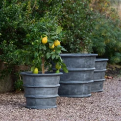 Greystoke Ribbed Planter - Aged Zinc -Sapling Vibe Sales Store pr2000046295 card9 lg